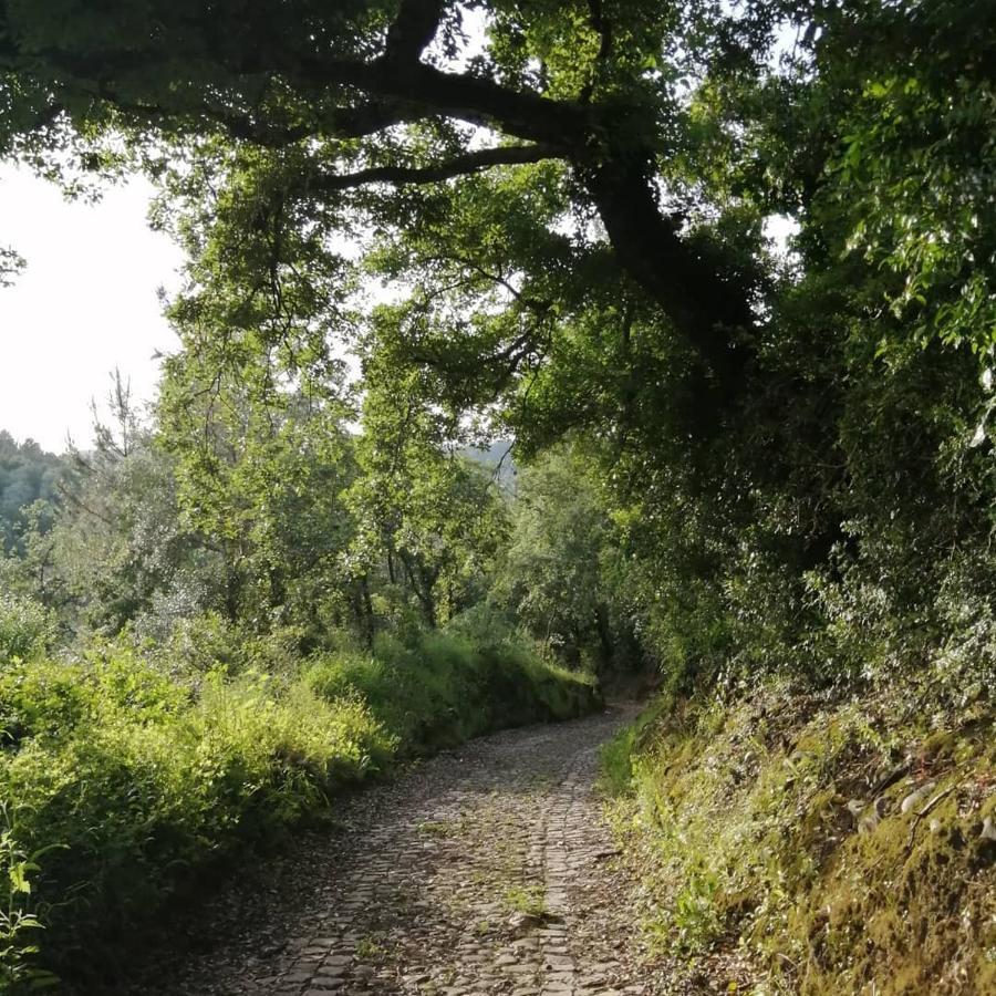 Pateo Das Rizas Eiras Exterior foto